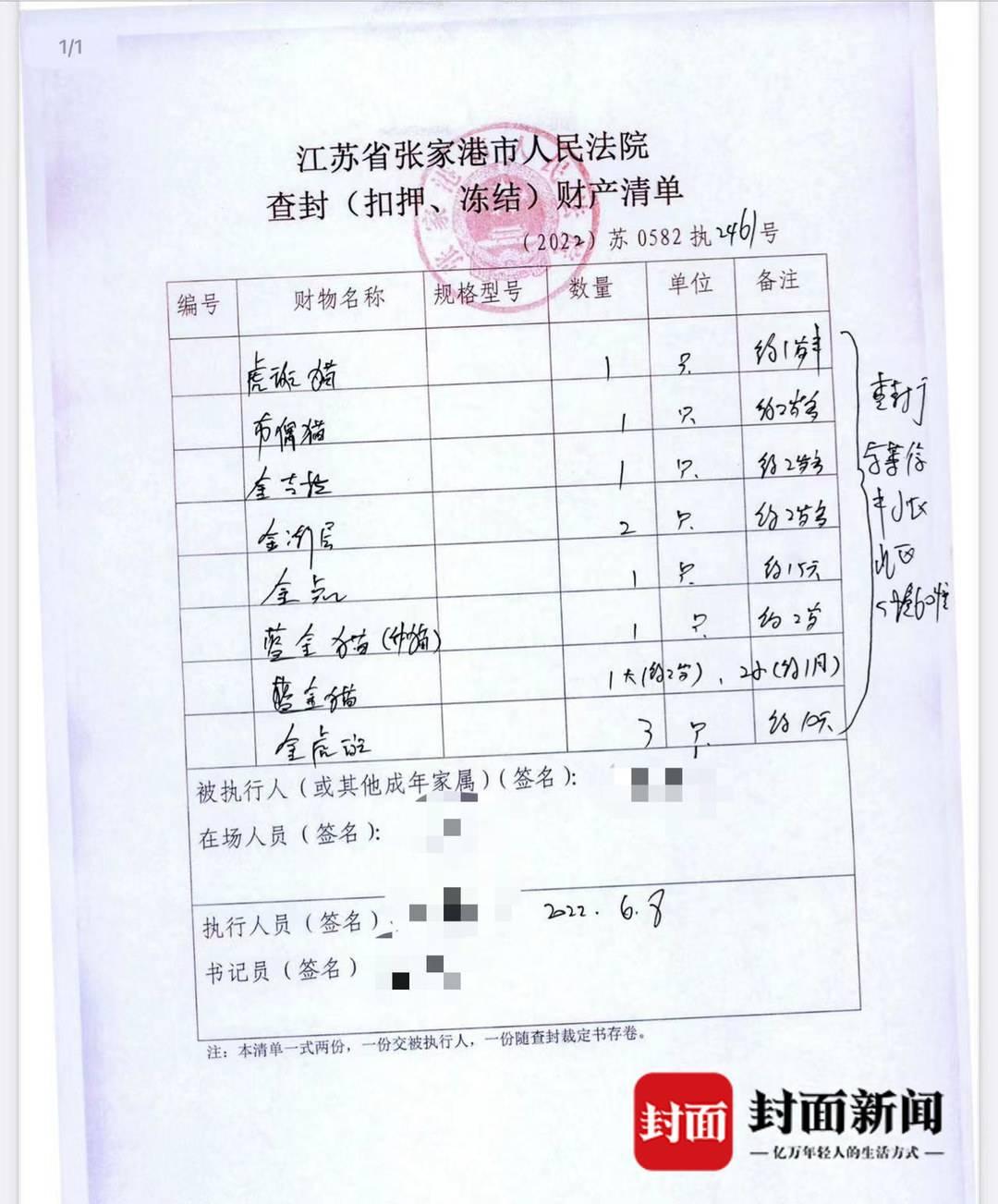 貓咪大戰(zhàn)爭(zhēng)最新破解版，游戲與法律的邊緣