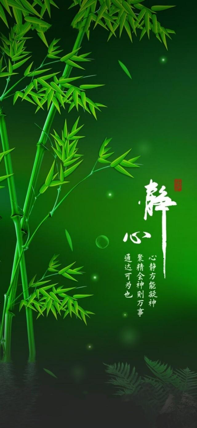 中國環(huán)保治理最新消息，邁向綠色發(fā)展的堅(jiān)定步伐