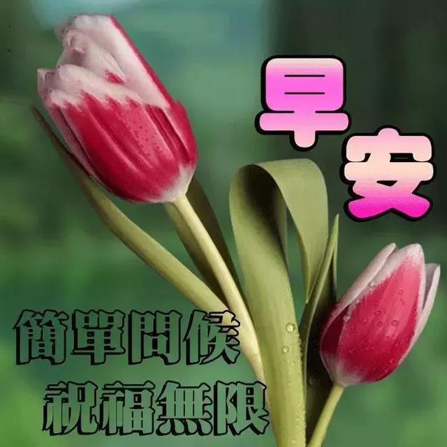 最新早上好表情圖，開啟美好一天的溫馨問候
