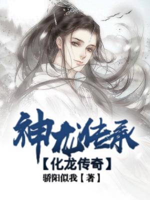 九轉(zhuǎn)神龍?jiān)E最新更新，神秘力量的覺醒與探索